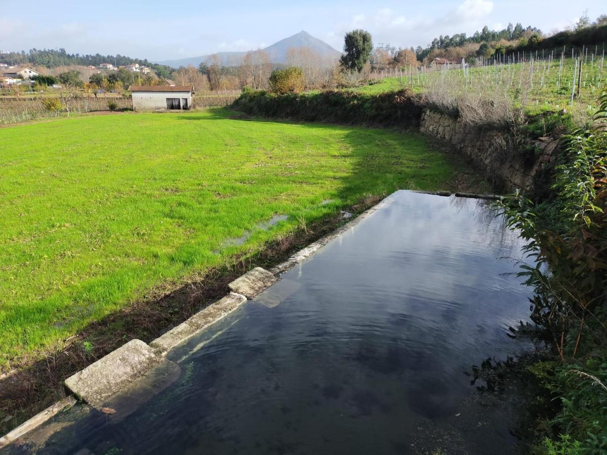 Quinta Da Lage Agroturismo E Enoturismo Celorico De Basto Exterior foto