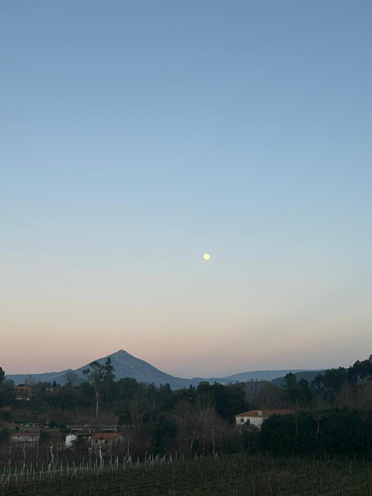 Quinta Da Lage Agroturismo E Enoturismo Celorico De Basto Exterior foto