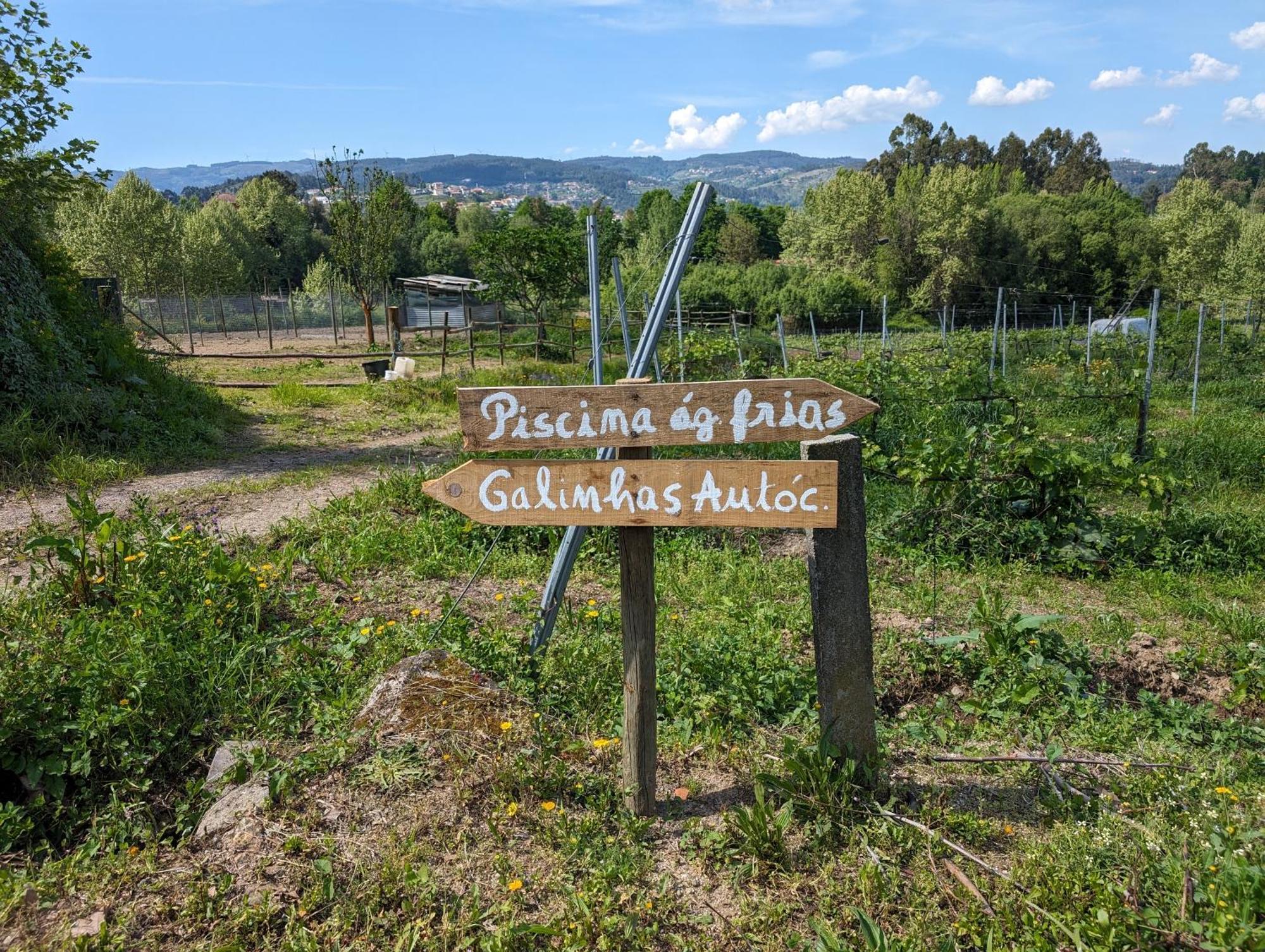 Quinta Da Lage Agroturismo E Enoturismo Celorico De Basto Exterior foto